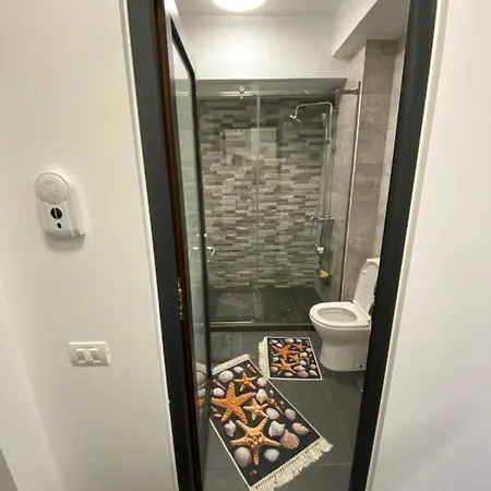 Garsoniera Adi Apartment *